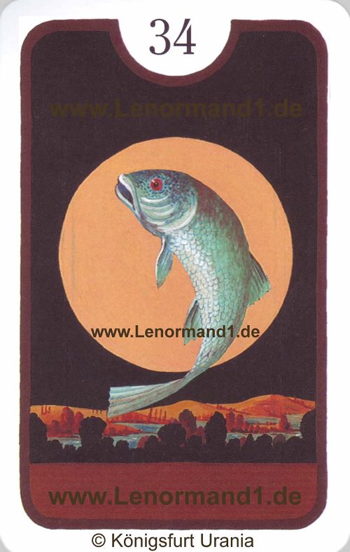 Die Fische Zigeuner Lenormand Tageskarte heute