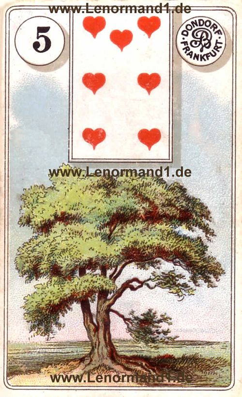 Der Baum Dondorf Lenormand Tageskarte heute