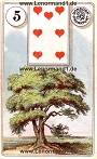 Baum von den antiken Dondorf Lenormandkarten