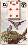 Vögel von den antiken Dondorf Lenormandkarten