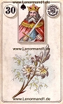 Lilie von den antiken Dondorf Lenormandkarten