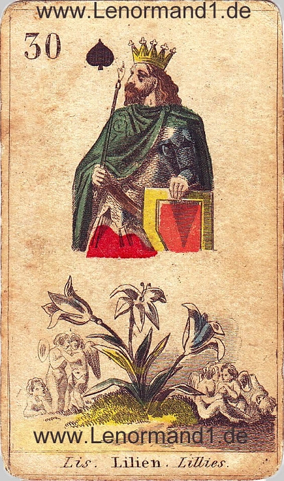 Die Lilie antike Lenormand Tageskarte heute