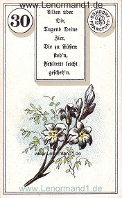 , antikes Dondorf Lenormand mit Versen