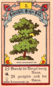 Baum, Gustav Kühn Lenormand