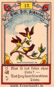 Vögel, Gustav Kühn Lenormand