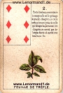 Der Klee antike Petit Jeu de la Madame Lenormand Karten