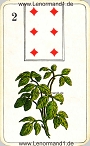 Der Klee antike Lenormandkarten der vereinigten Stralsunder Spielkartenfabriken AG