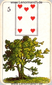 Baum, antikes Stralsunder Lenormand