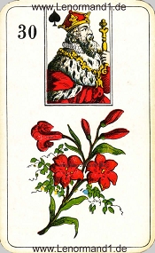 Lilie, antikes Stralsunder Lenormand