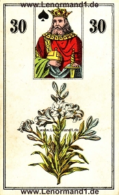 , antikes Wst Lenormand